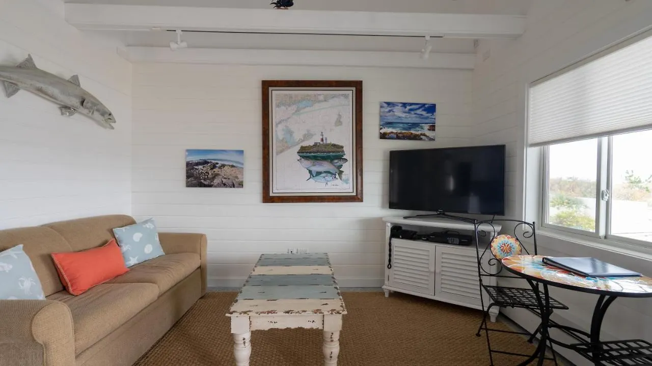 Driftwood On The Ocean 3*