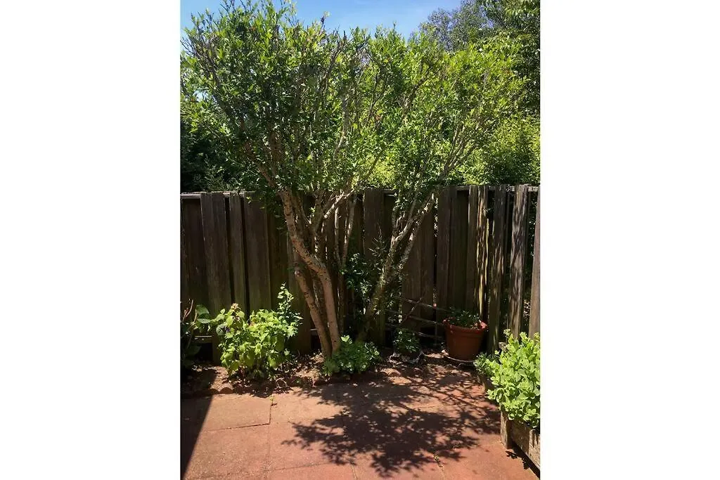 Walk To - Bright, Pond-facing 2br Leisurama