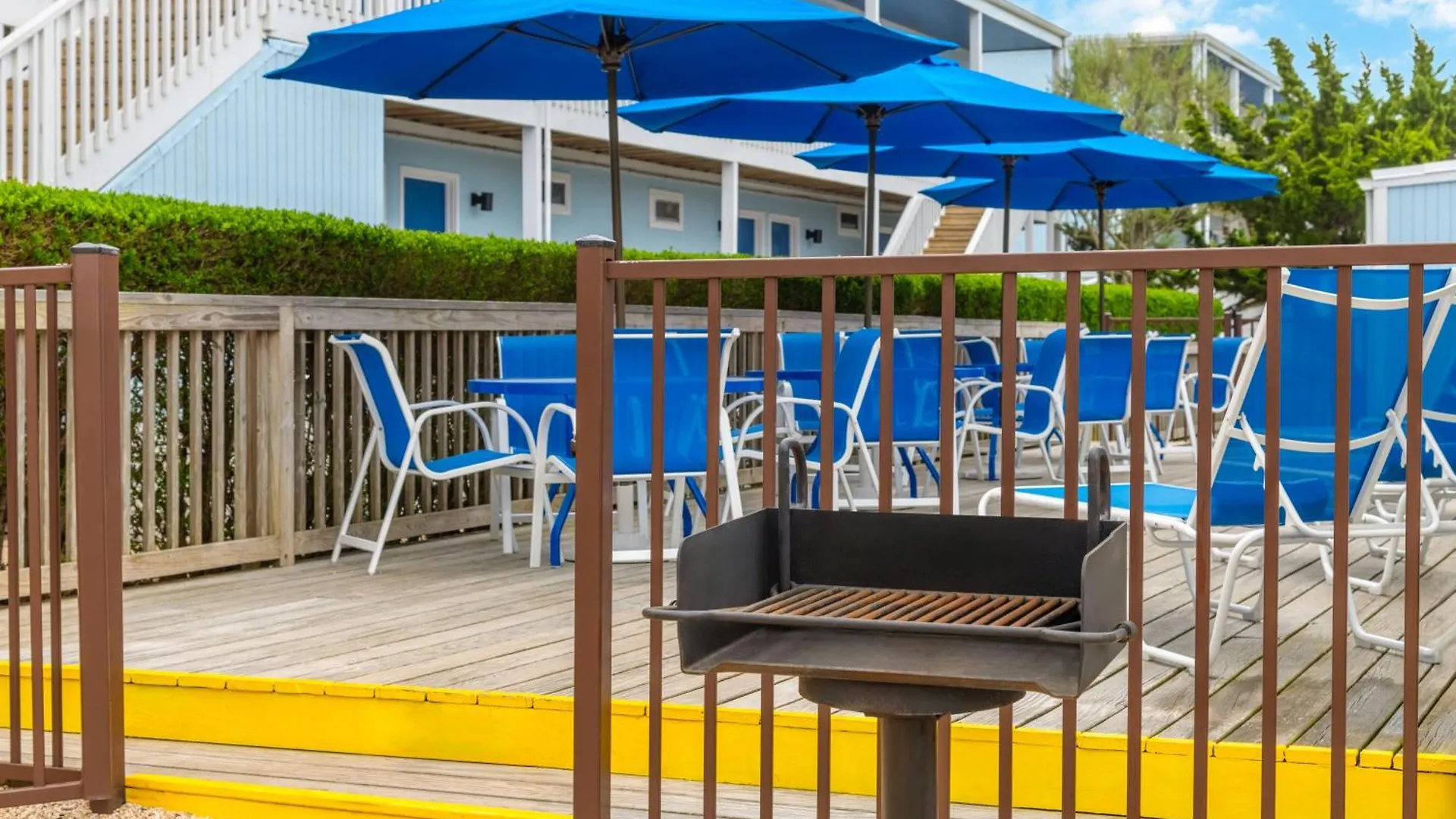 Blue 3* Montauk
