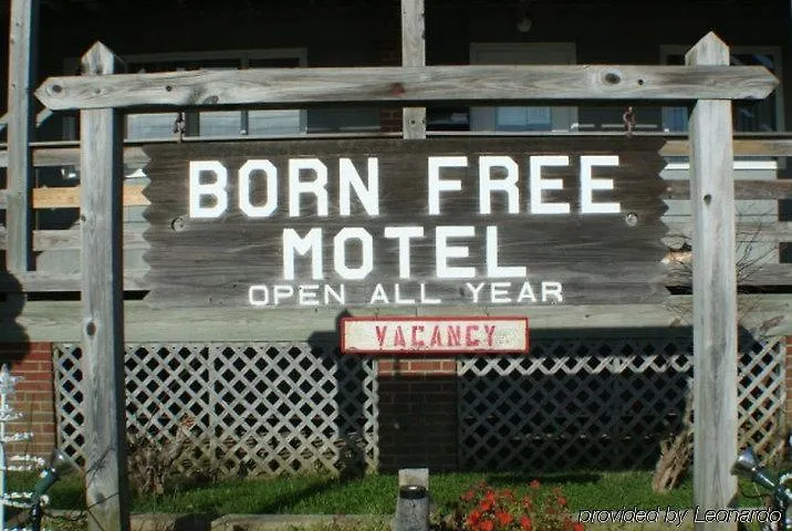Oceanside Motel 3*