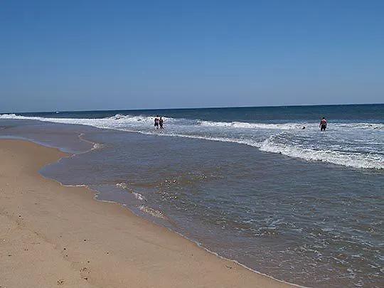 Wavecrest 3*