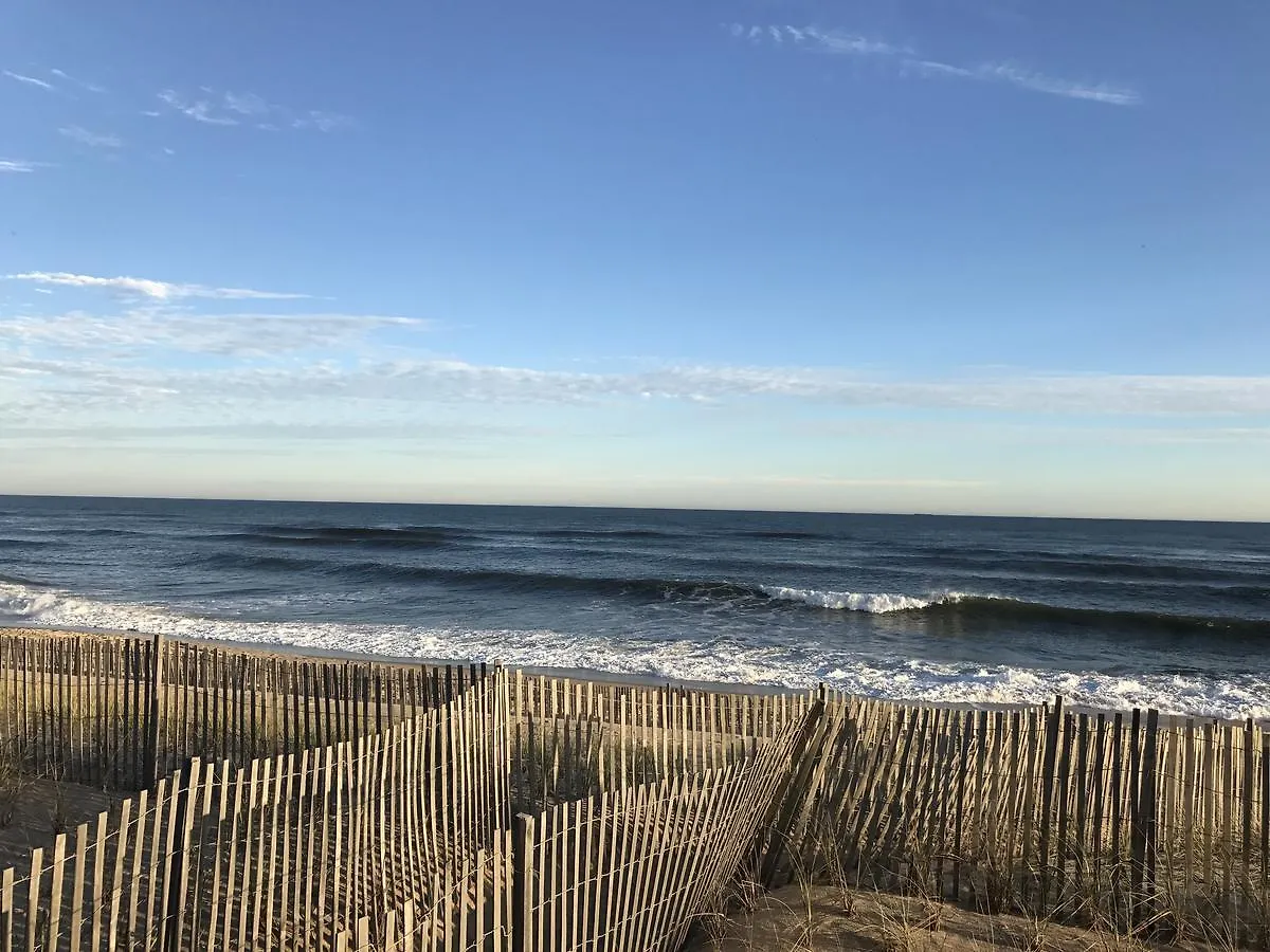 Ocean Surf 3*