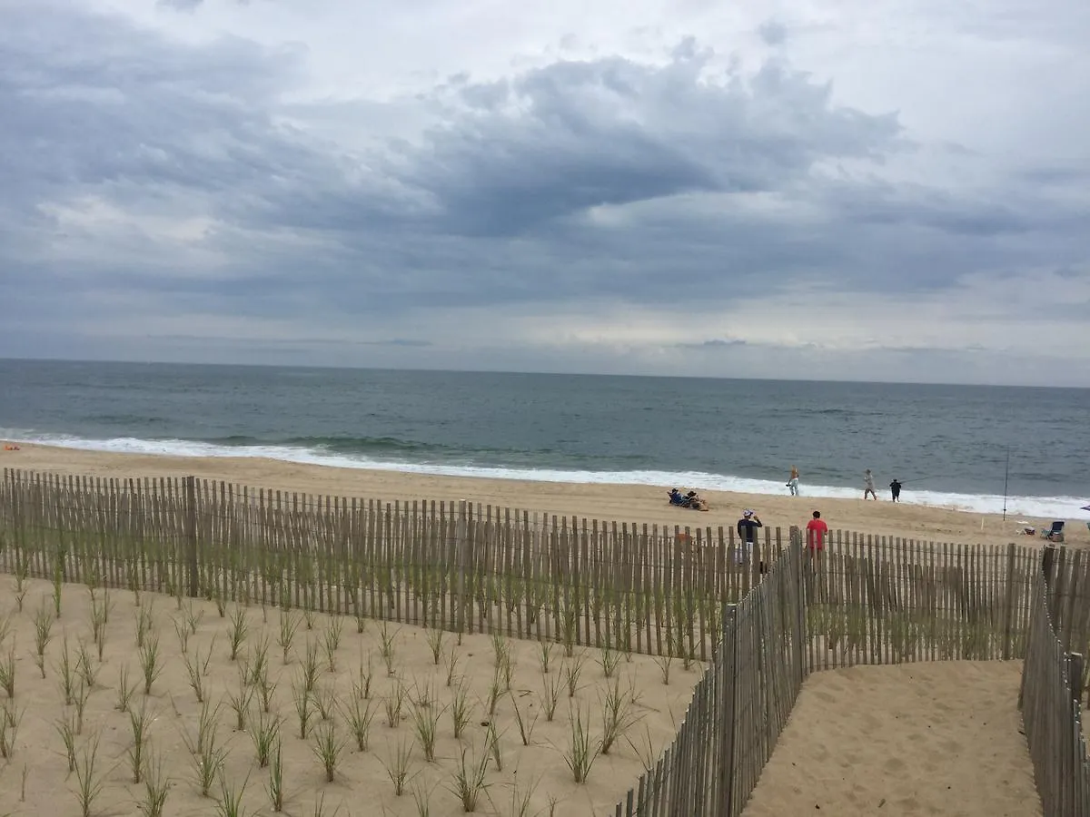 Ocean Surf 3*