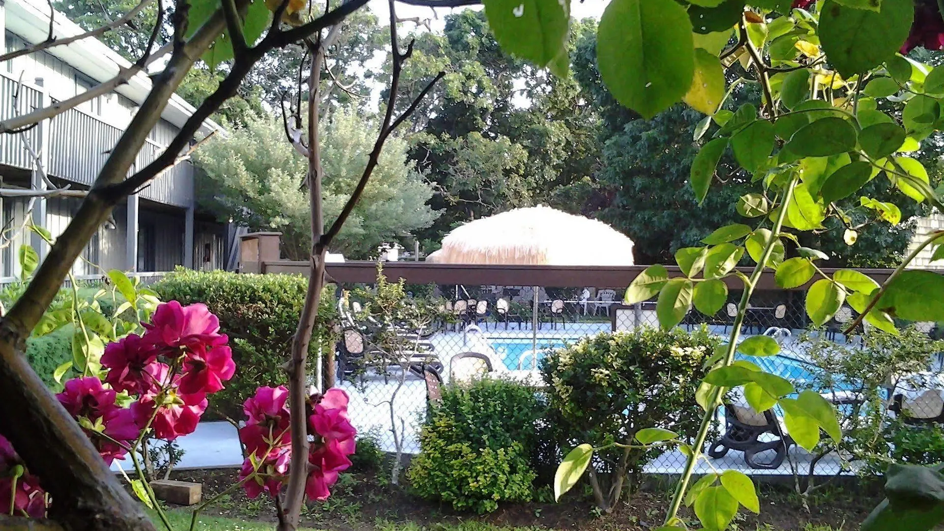 Kenny's Tipperary Motel 3*