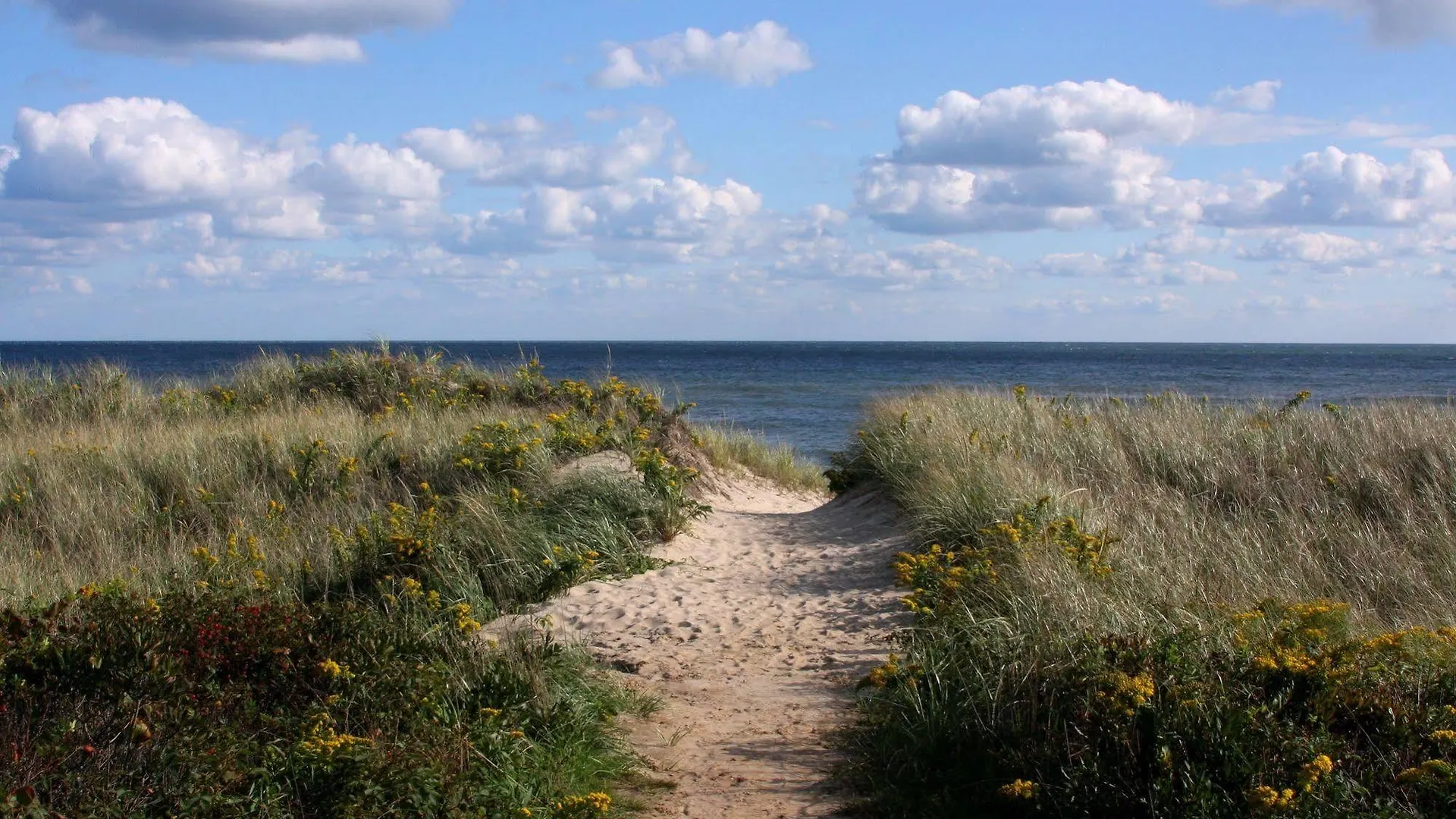 Beachcomber At Montauk