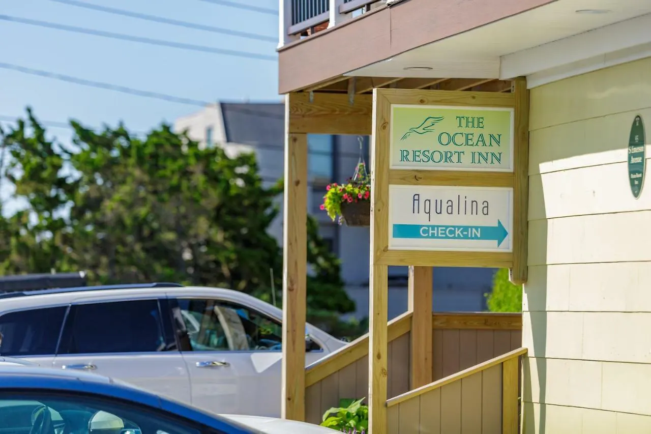 The Ocean Montauk