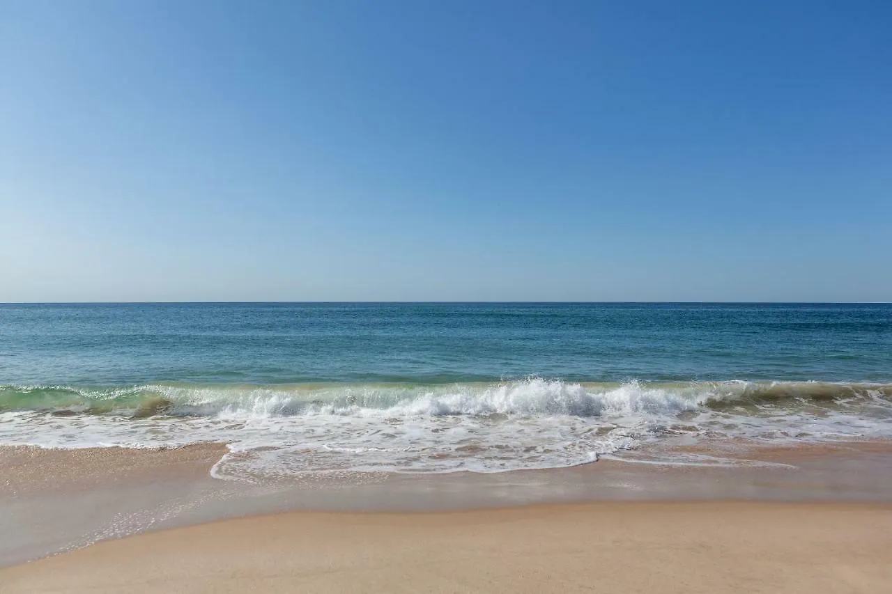 The Ocean