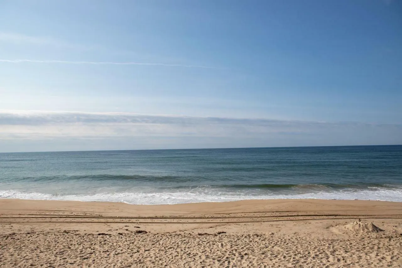 The Ocean 3*
