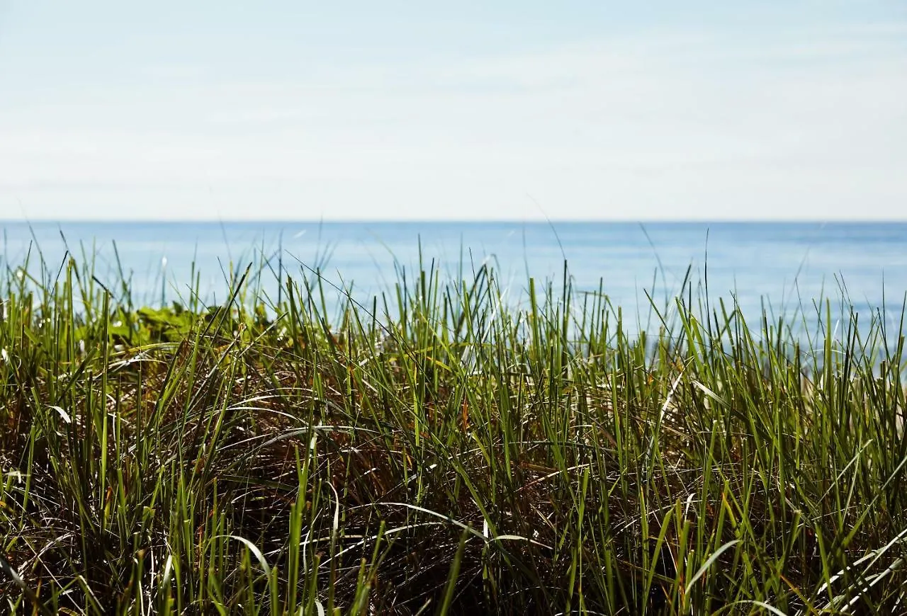 Marram 4*