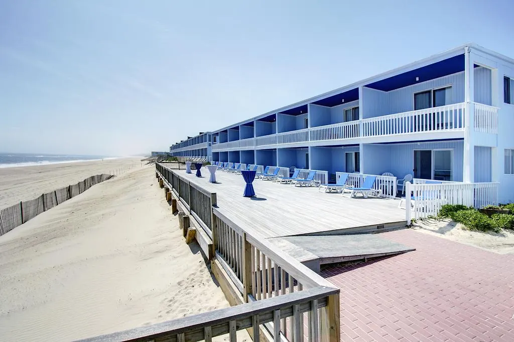 Blue 3* Montauk