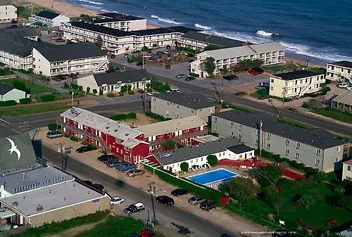 Daunts Albatross Motel