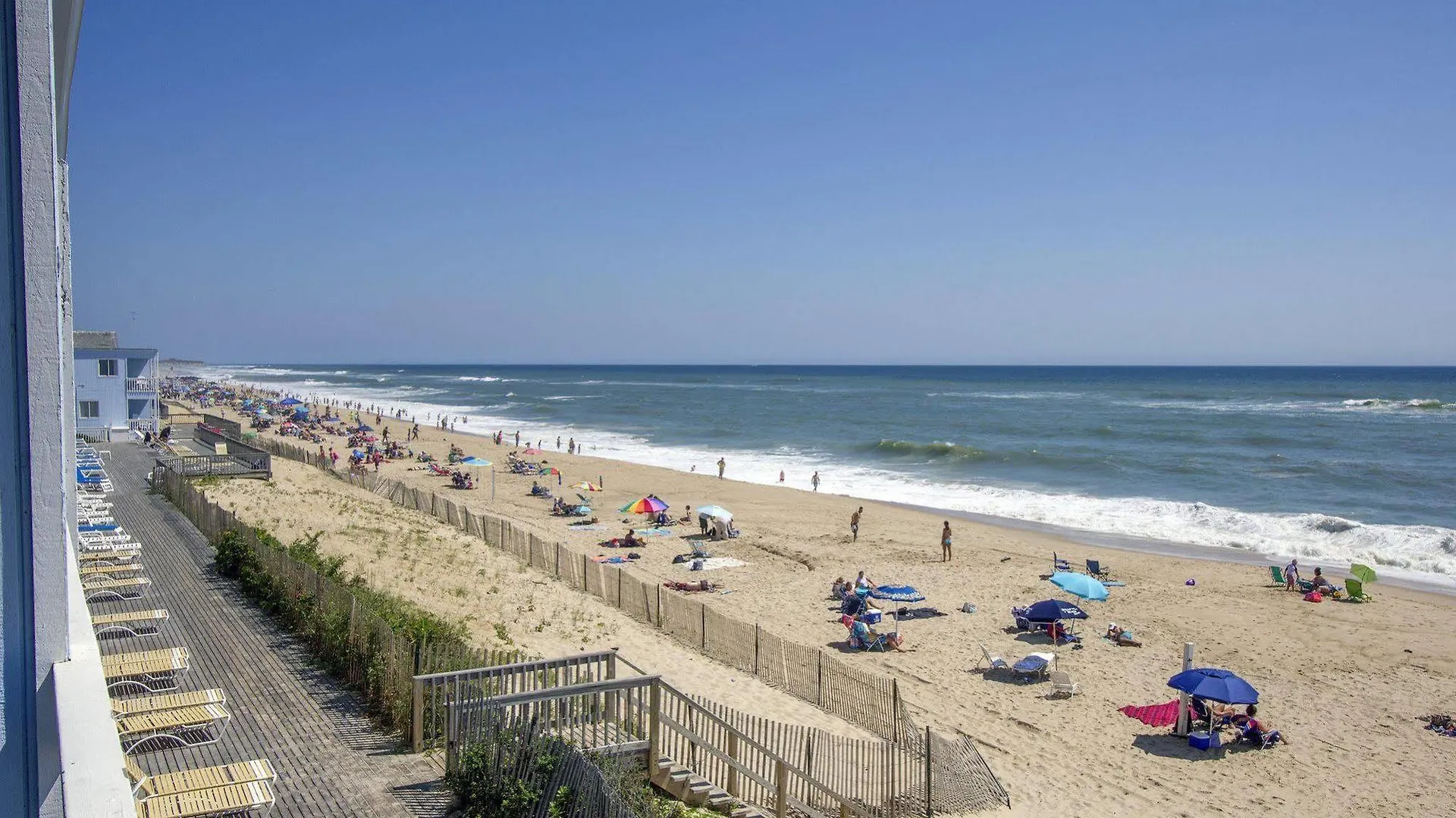 Blue 3* Montauk