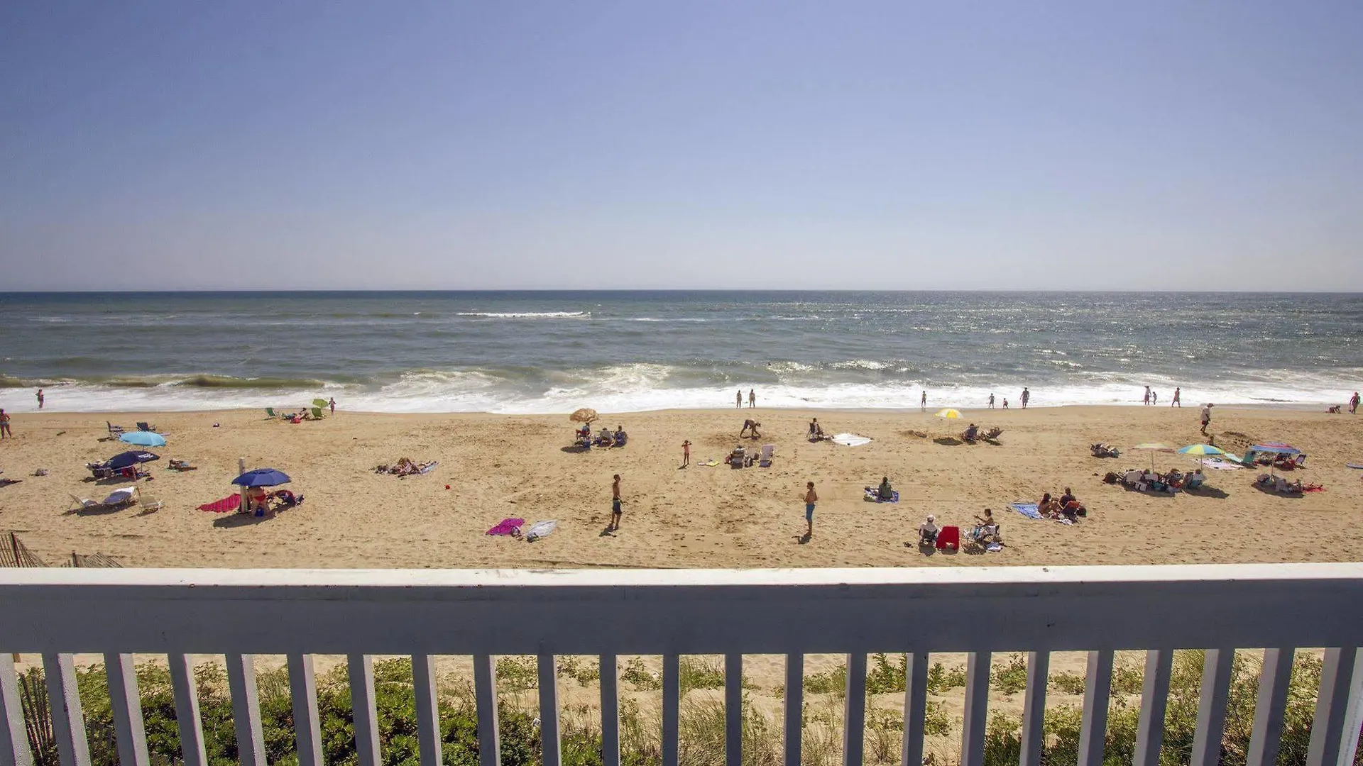 Blue 3* Montauk
