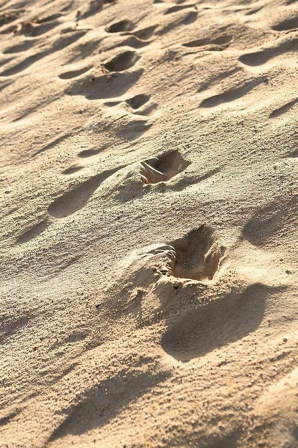 אתר נופש Marram מונטוק